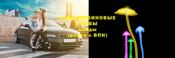 стаф Магадан
