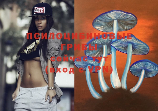стаф Магадан