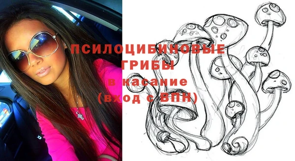 стаф Магадан